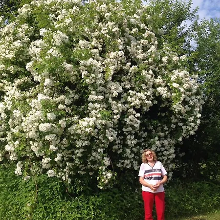 Iqbal-huette Guest house Beverstedt