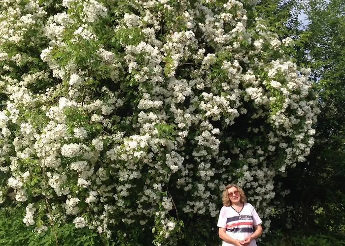 Iqbal-huette بيت ضيافة Beverstedt